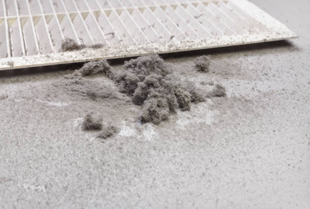 Home Air Vent Cleaning in Gastonville, PA